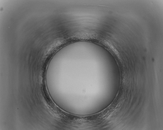 X0000090480635200707131044