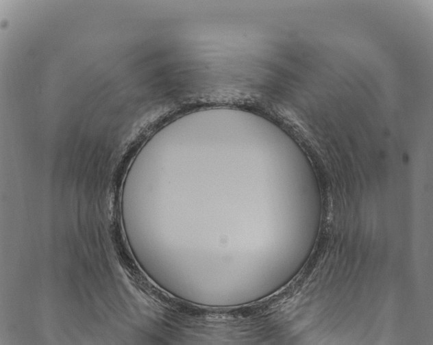 X0000090480636200707131044
