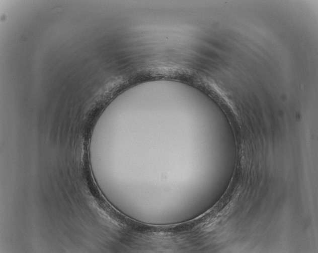 X0000090480637200707131044