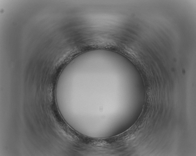 X0000090480642200707131044