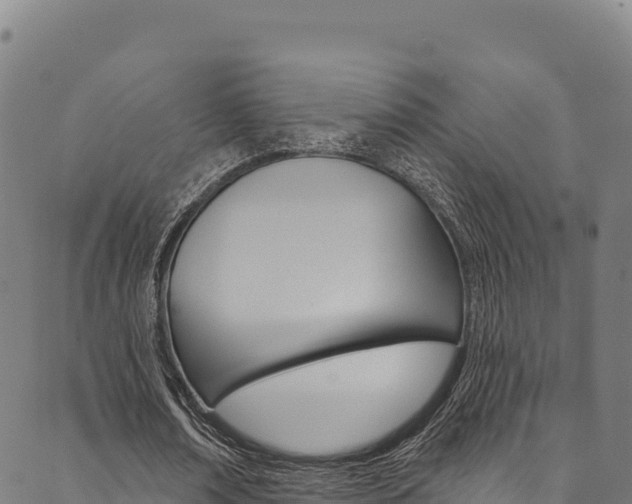 X0000090480674200707131044