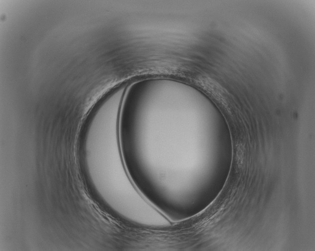 X0000090480676200707131044