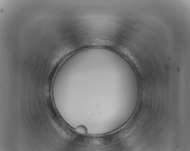 X0000090480683200707131044