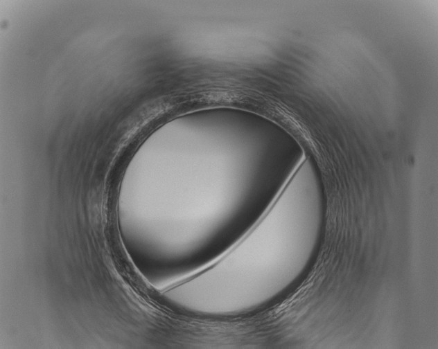 X0000090480722200707131042