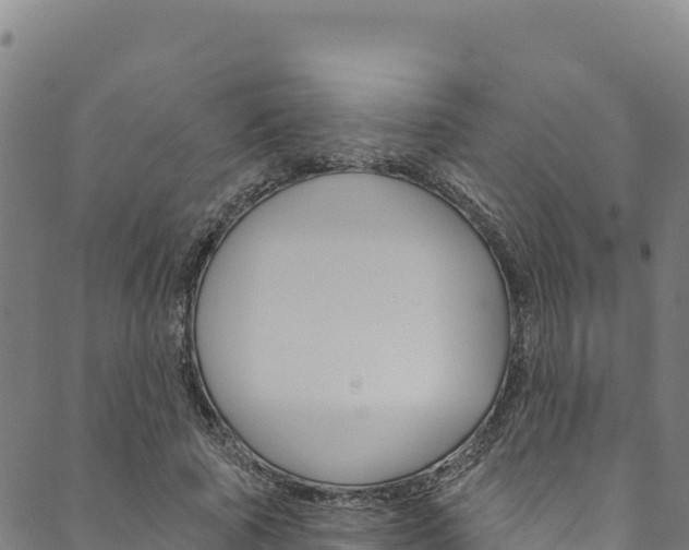 X0000090480737200707131043