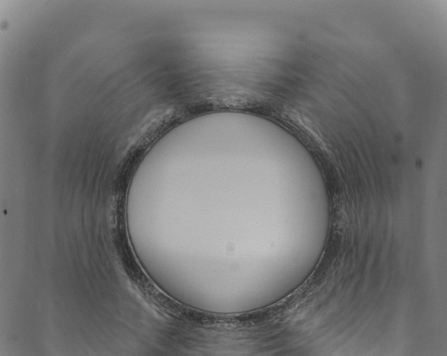 X0000090480738200707131043
