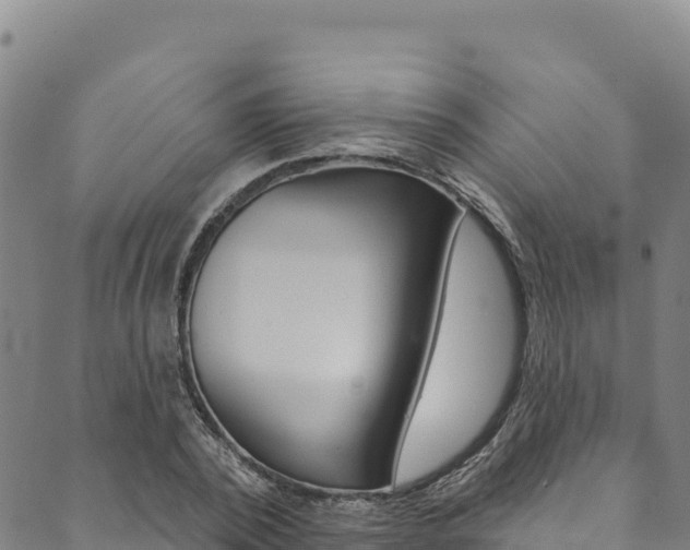 X0000090480784200707131042