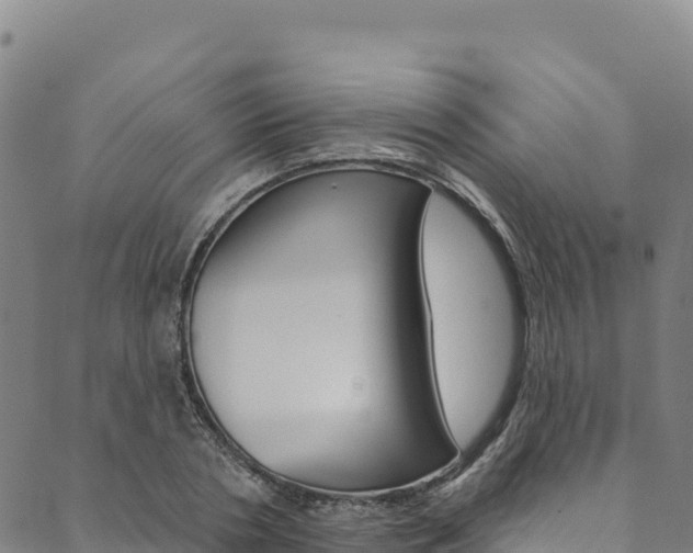 X0000090480786200707131042