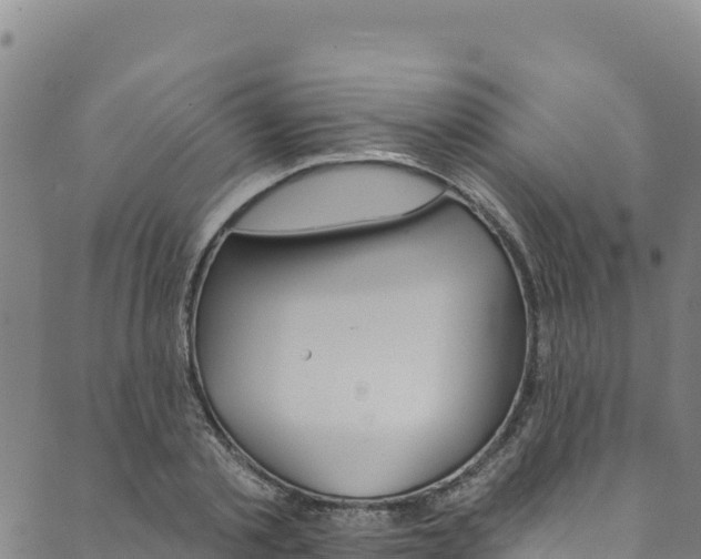 X0000090480789200707131042