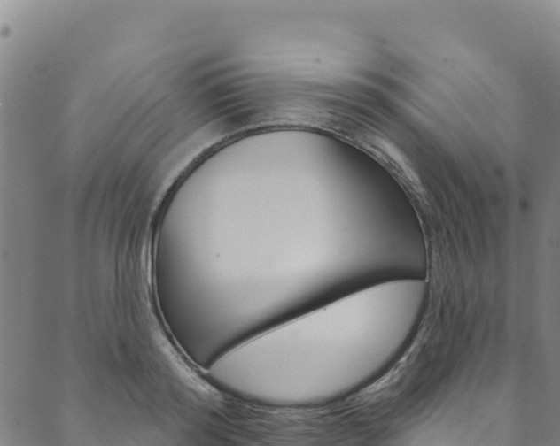 X0000090480796200707131042