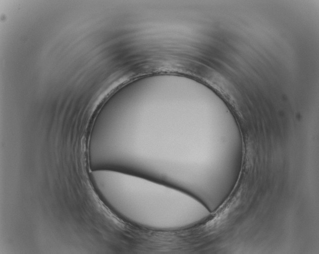 X0000090480798200707131042