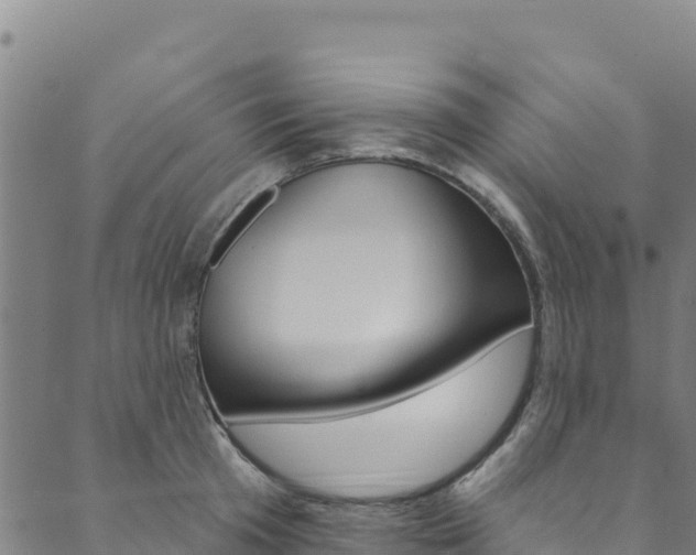 X0000090480801200707131042