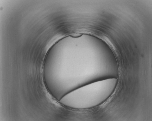 X0000090480814200707131042
