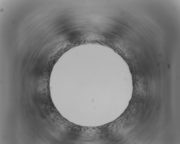 X0000090480824200707131041
