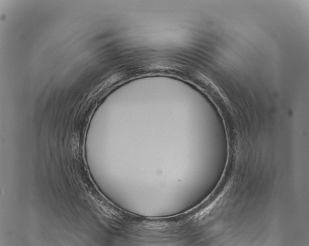 X0000090480825200707131041