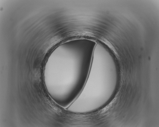 X0000090480826200707131041