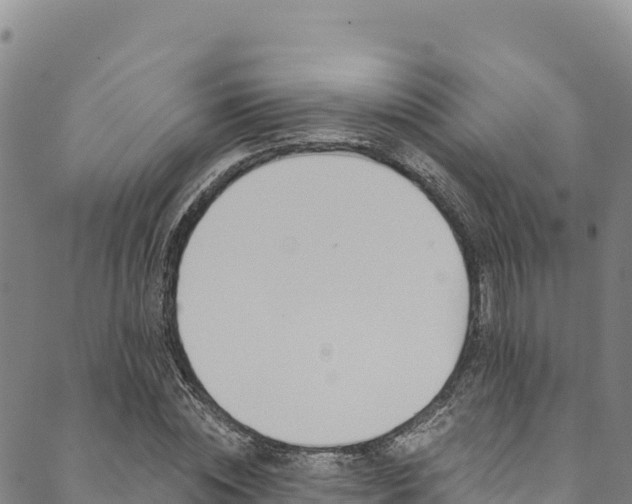 X0000090480828200707131041