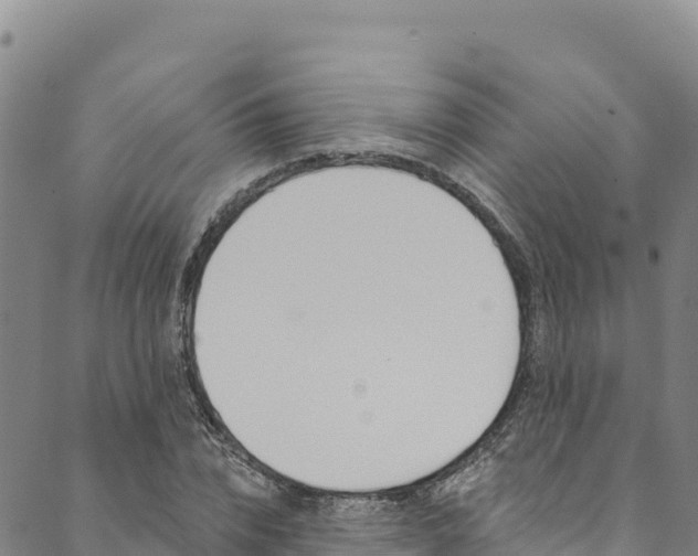 X0000090480832200707131041
