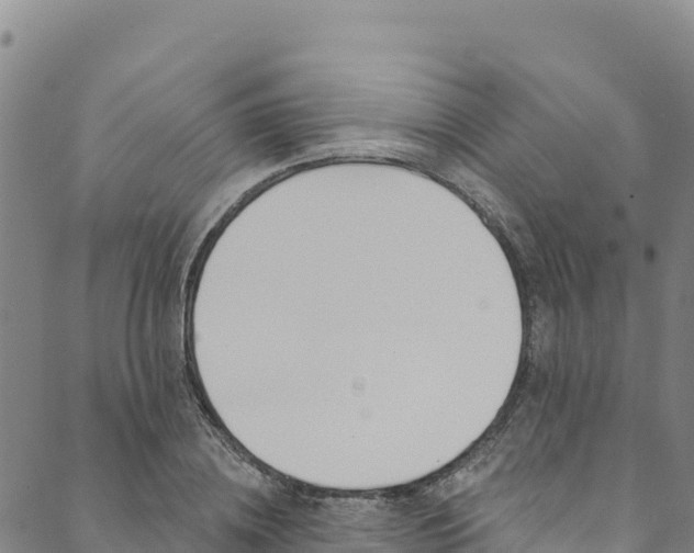 X0000090480836200707131041