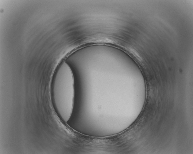 X0000090480840200707131041