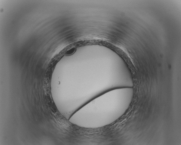 X0000090480871200707131041
