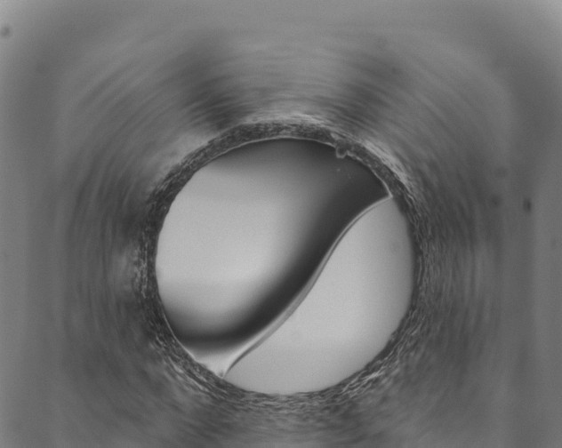 X0000090480872200707131041