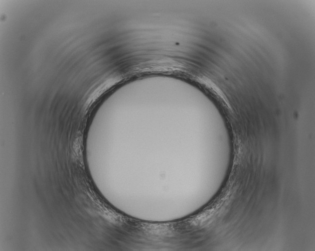 X0000090480874200707131041