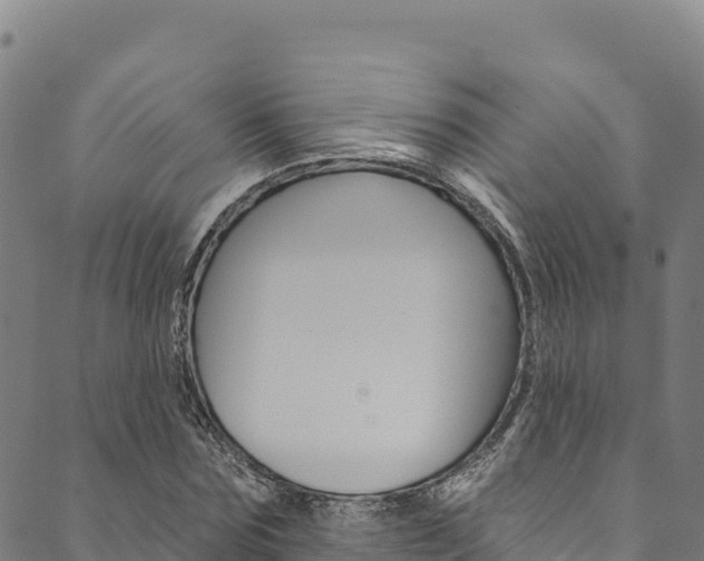 X0000090480875200707131041