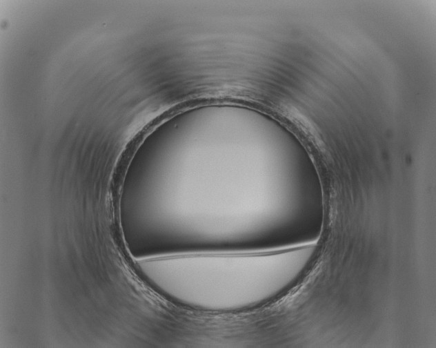 X0000090480876200707131041