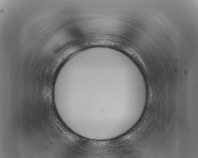X0000090480882200707131041