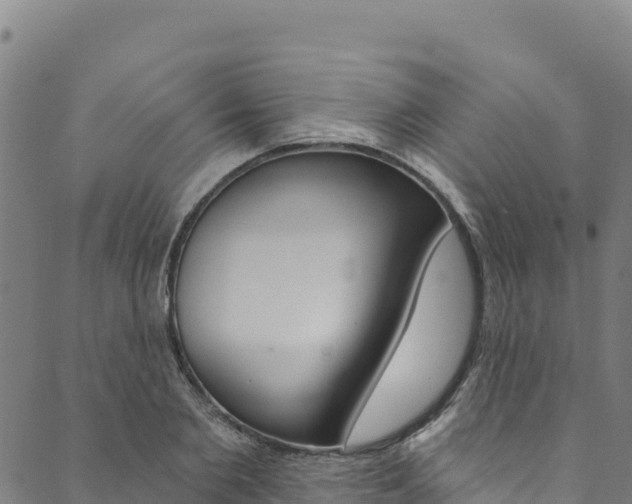 X0000090480885200707131041