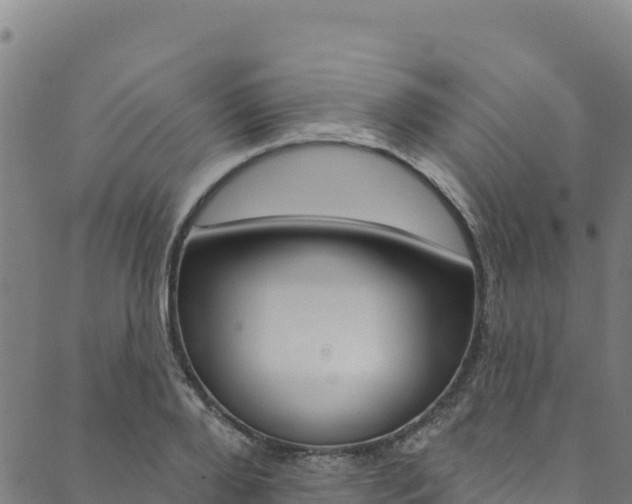 X0000090480888200707131040