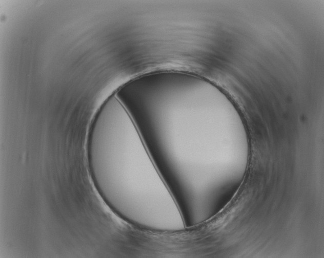 X0000090480902200707131040