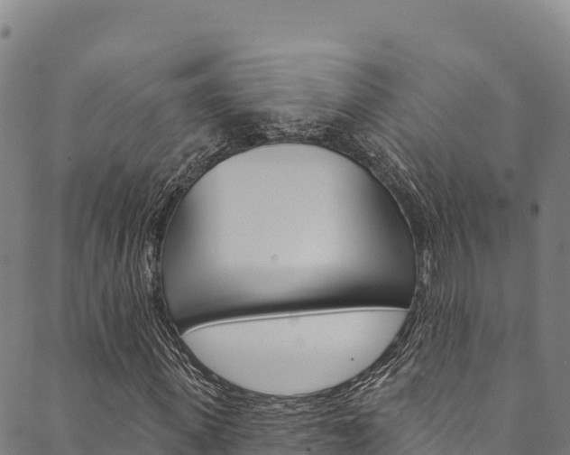 X0000090480915200707131039