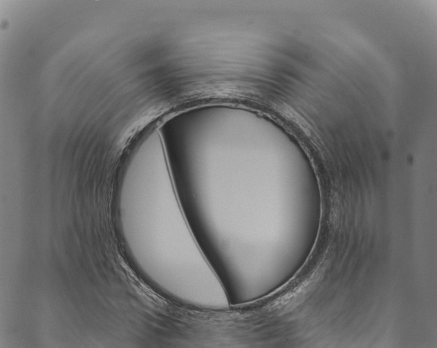 X0000090480922200707131039