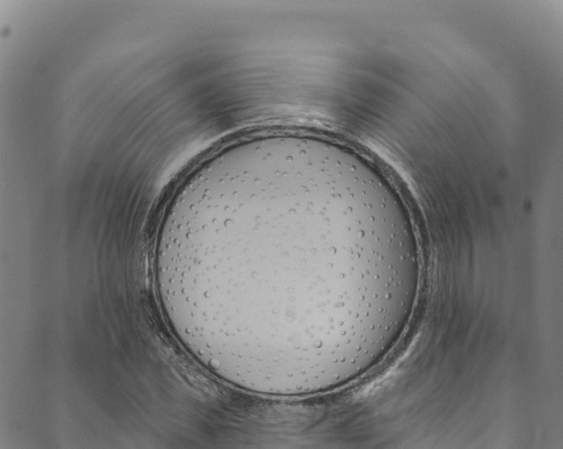 X0000090480925200707131040