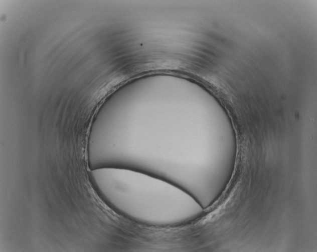 X0000090480929200707131040