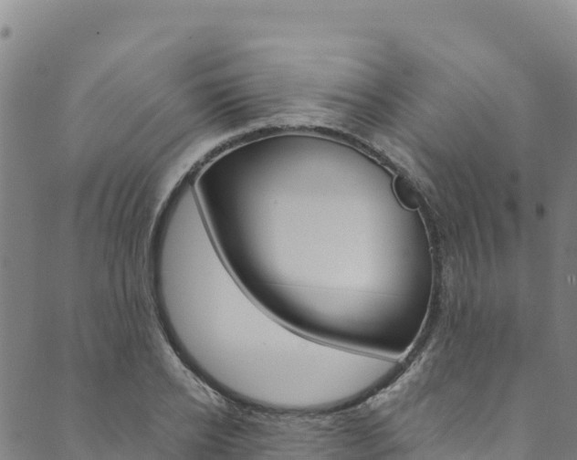 X0000090480934200707131040