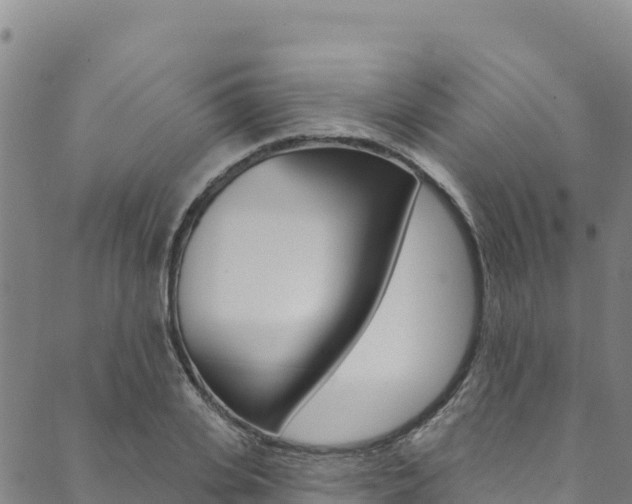 X0000090480935200707131040