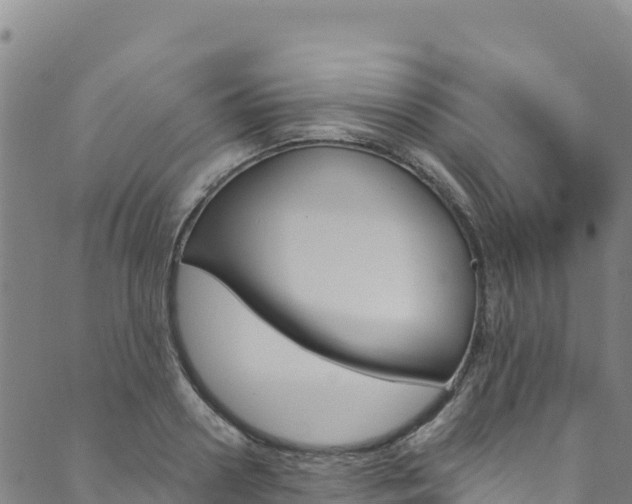 X0000090480938200707131040