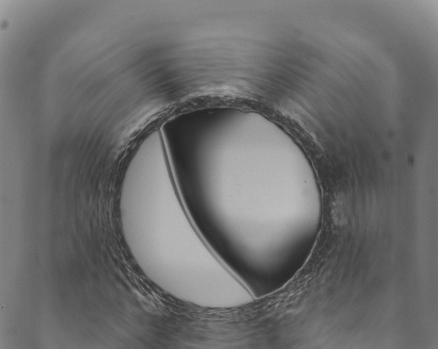 X0000090480968200707131039