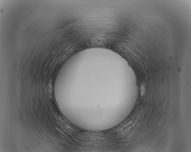 X0000090481011200707131038