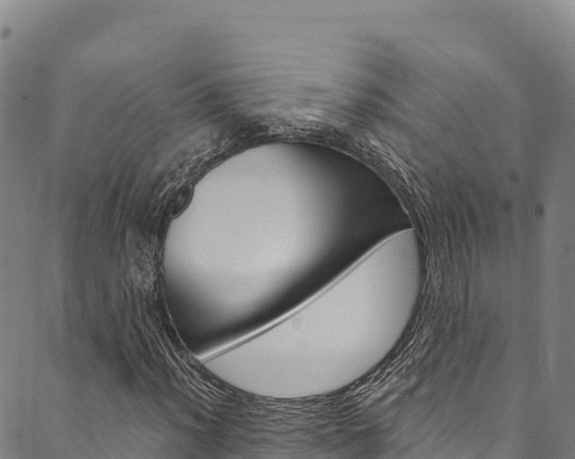 X0000090481012200707131038