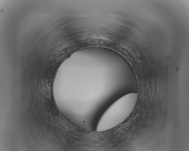X0000090481013200707131038