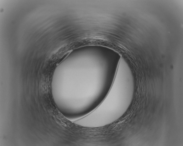 X0000090481014200707131038