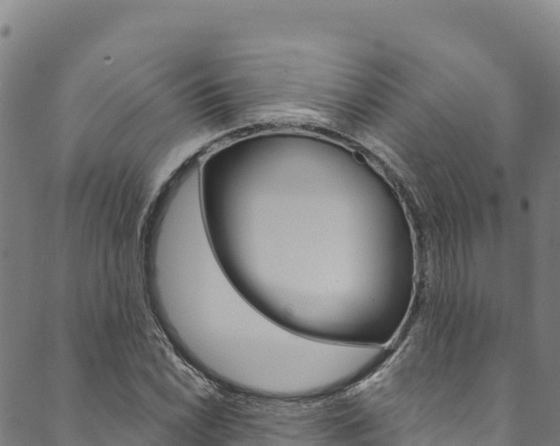 X0000090481022200707131038
