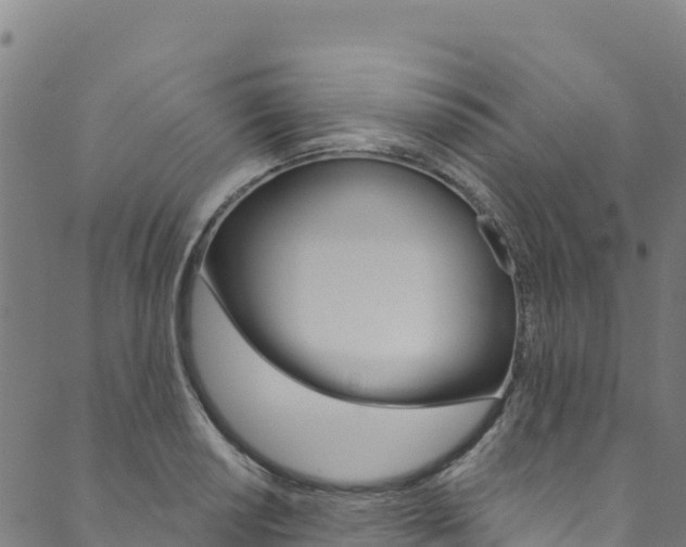 X0000090481034200707131038