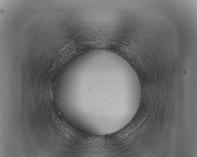 X0000090481058200707131038