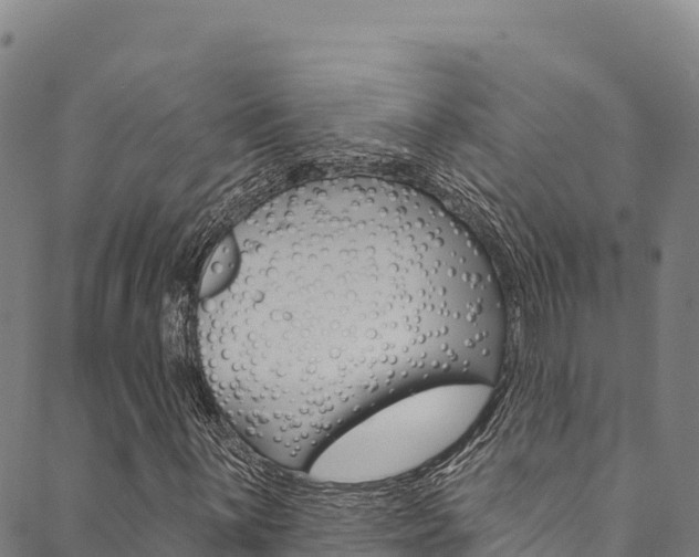 X0000090481059200707131038
