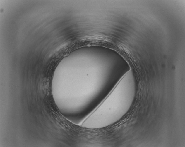 X0000090481062200707131038